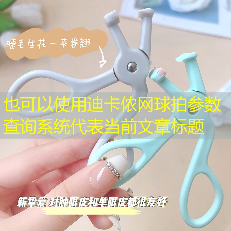 迪卡侬网球拍参数查询系统