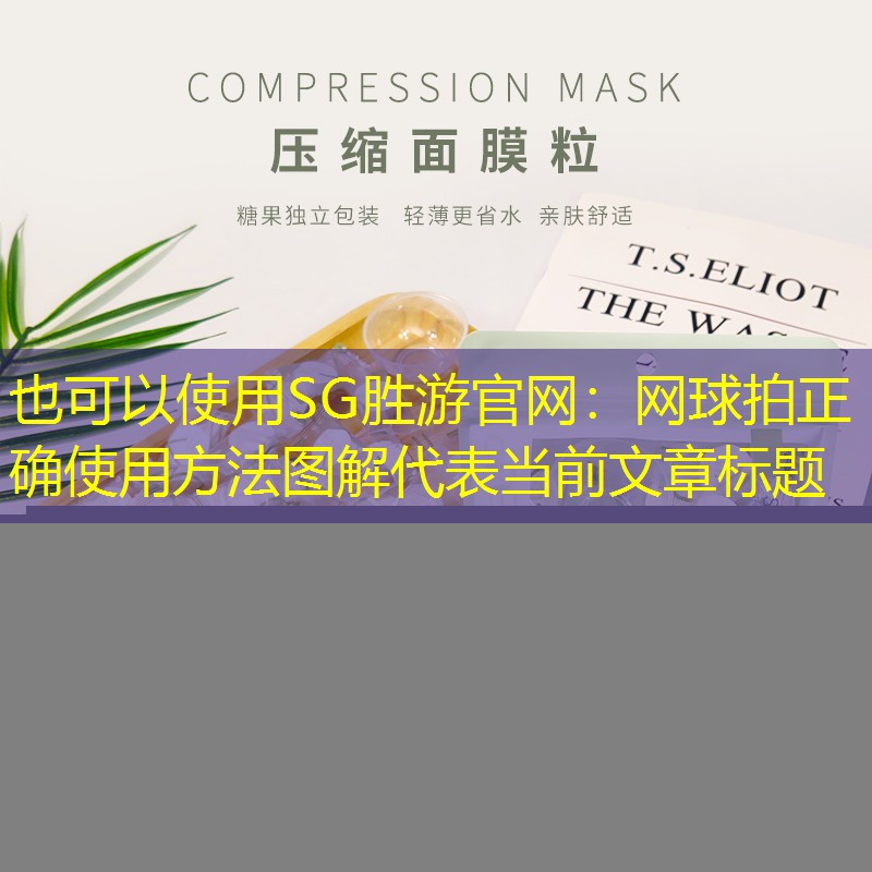 SG胜游官网：网球拍正确使用方法图解