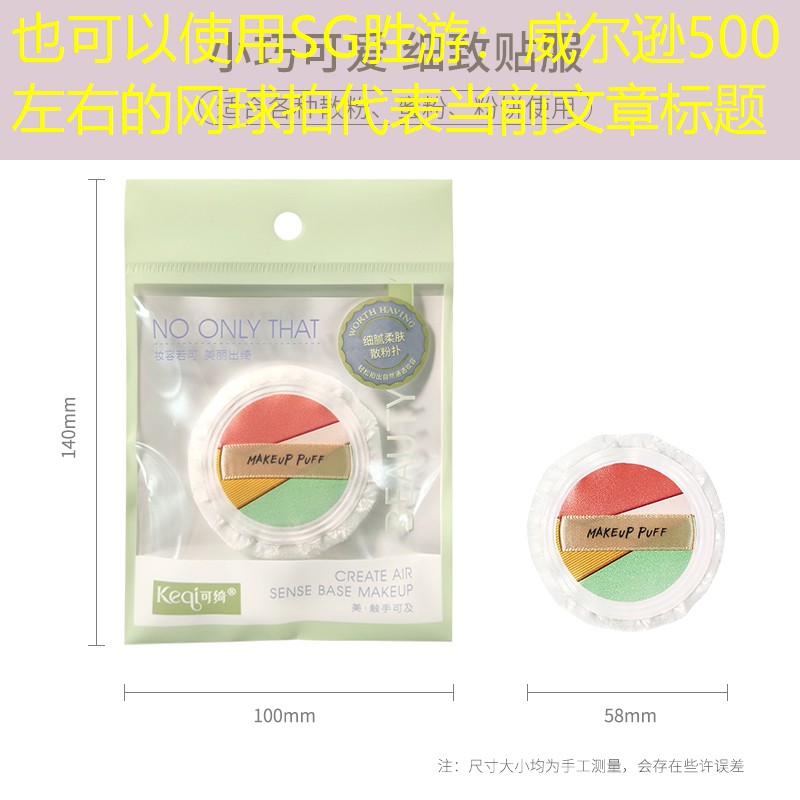 SG胜游：威尔逊500左右的网球拍